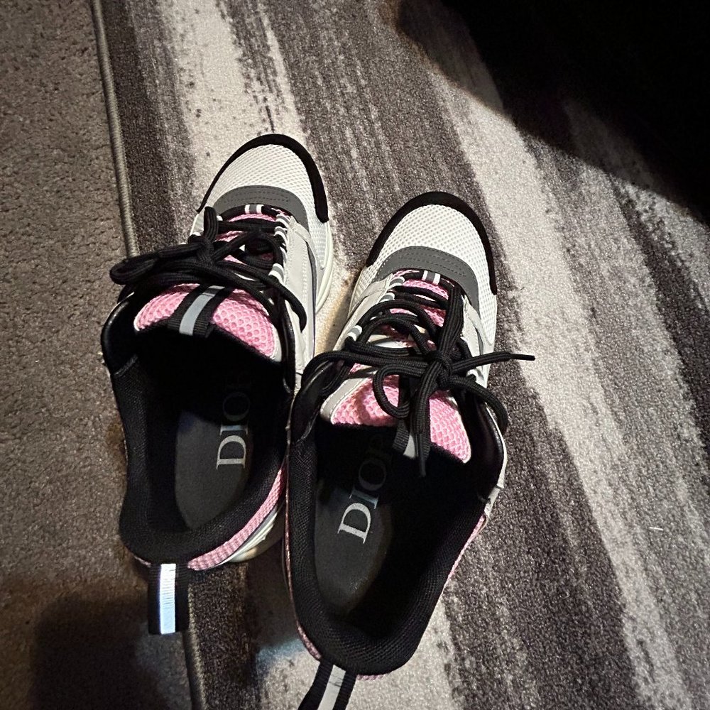 dior b22 pale pink grey